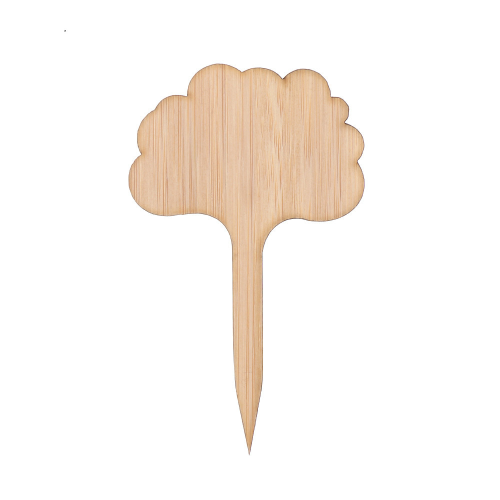 Wooden Plant Labels for Garden and Balcony - Rewritable Labels for Herbs and Plants