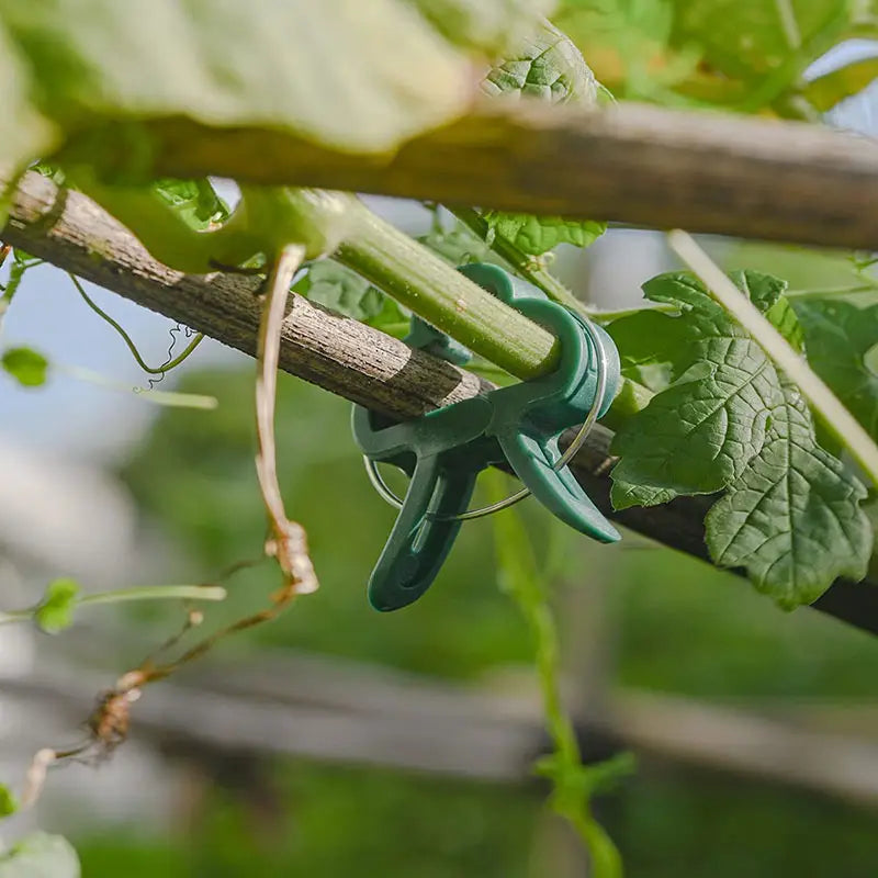 Garden Clip Set - Plant Loops for Plant Supports and Garden Maintenance