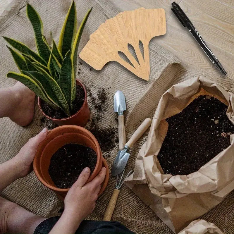 Wooden Plant Labels for Garden and Balcony - Rewritable Labels for Herbs and Plants