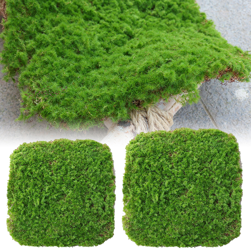 Moss Cover Piece - Moss Flake Ornament for Decoration and Landscaping