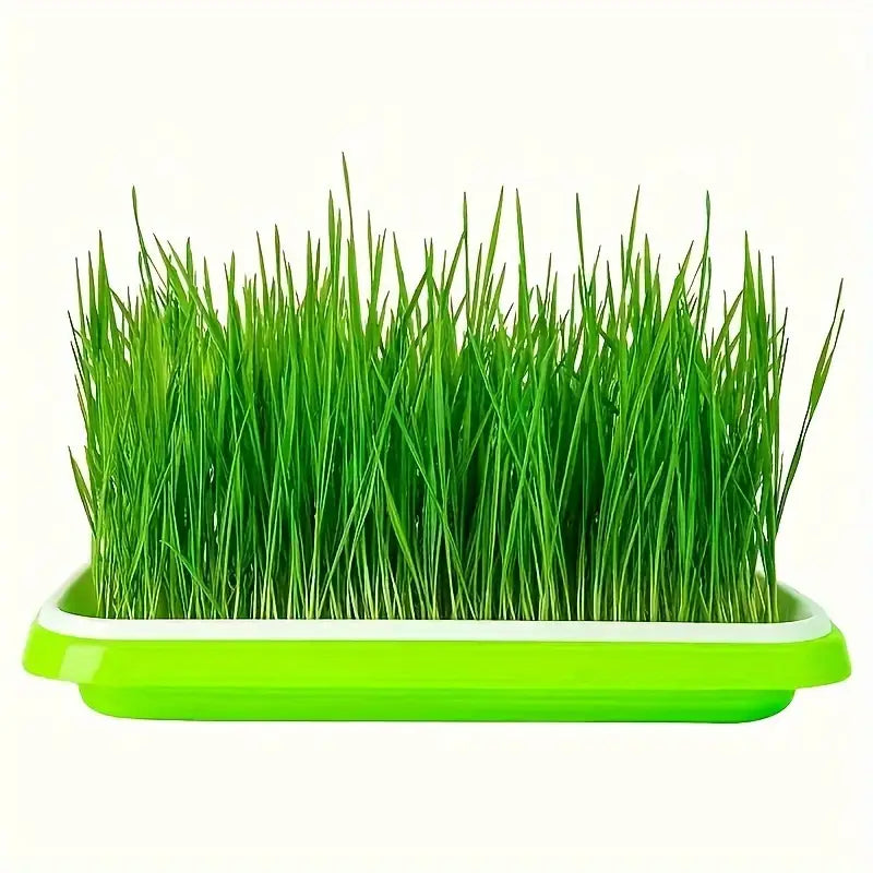 Germination Trays with Lid - Double - Layer Seed Tray for Effective Seed Germination