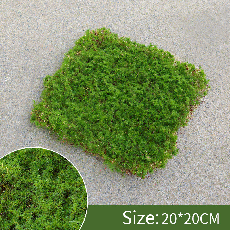 Moss Cover Piece - Moss Flake Ornament for Decoration and Landscaping