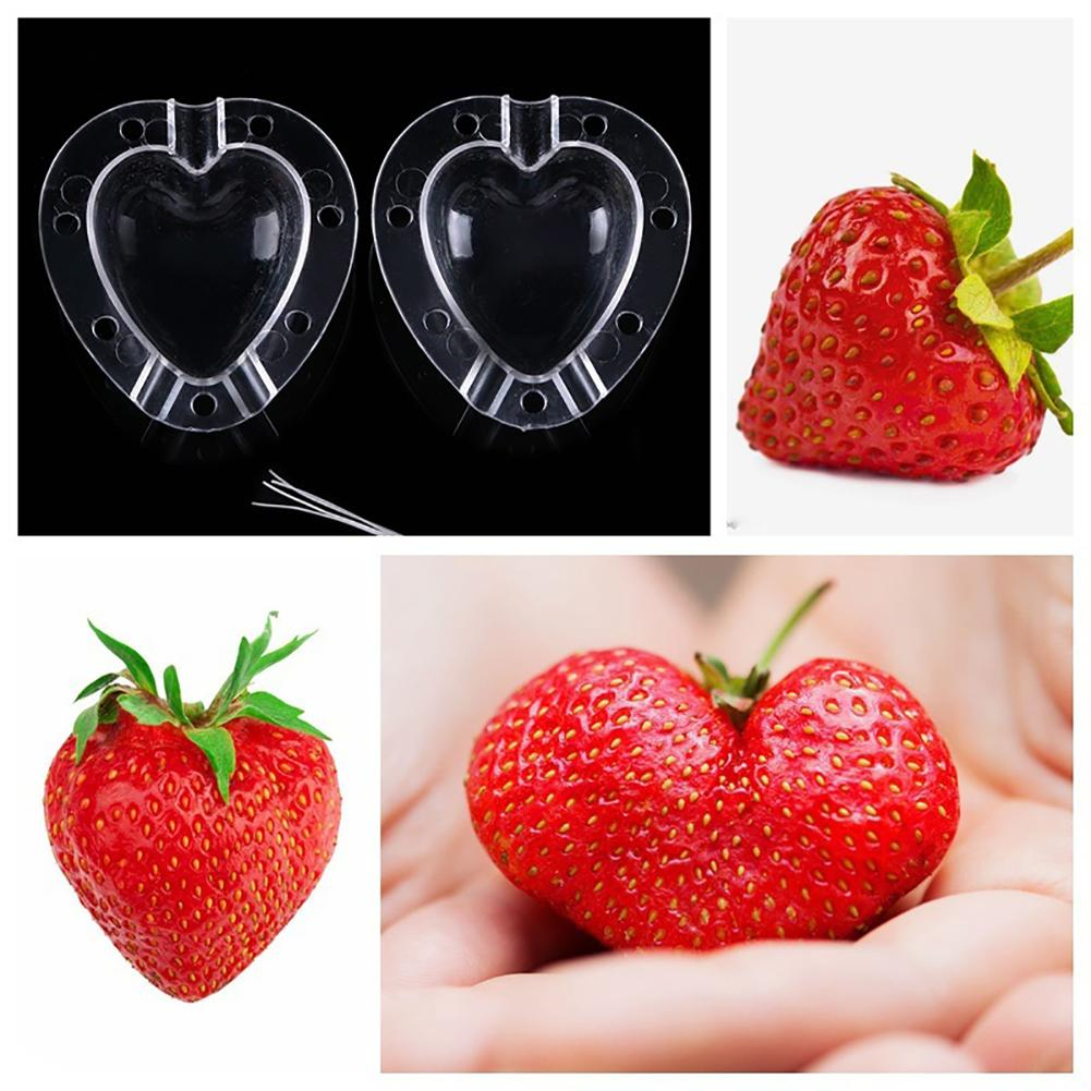 Heart - Shaped Vegetable Mould - Creative Moulded Bowl for Vegetables and Fruit