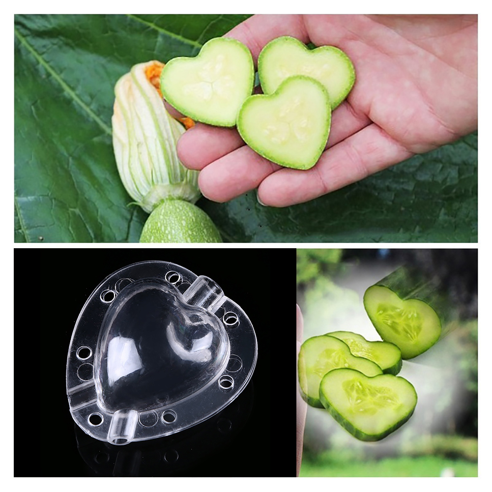 Heart - Shaped Vegetable Mould - Creative Moulded Bowl for Vegetables and Fruit