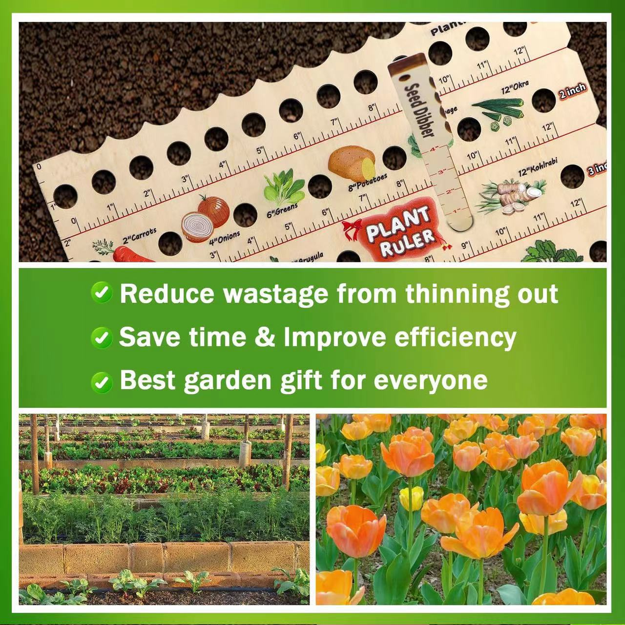 Wood Planting Ruler - Multifunctional Seed Measuring Tool for Garden