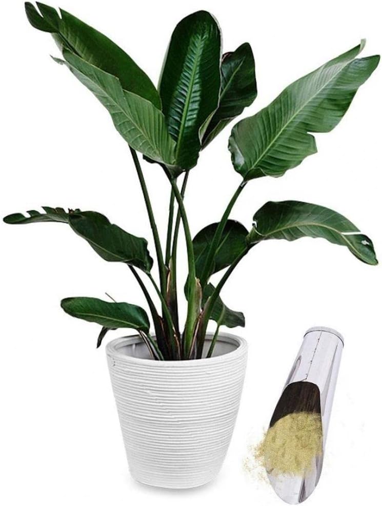 Stainless Steel Shovel for Potting Soil - Robust Planting Shovel for Garden and Balcony
