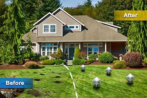 Solar - Powered Animal Repeller for Gardens and Yards - Environmentally Friendly Protection Against Mice and Rodents