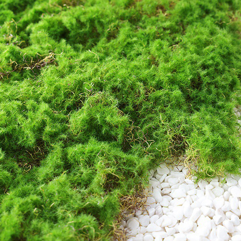Moss Cover Piece - Moss Flake Ornament for Decoration and Landscaping
