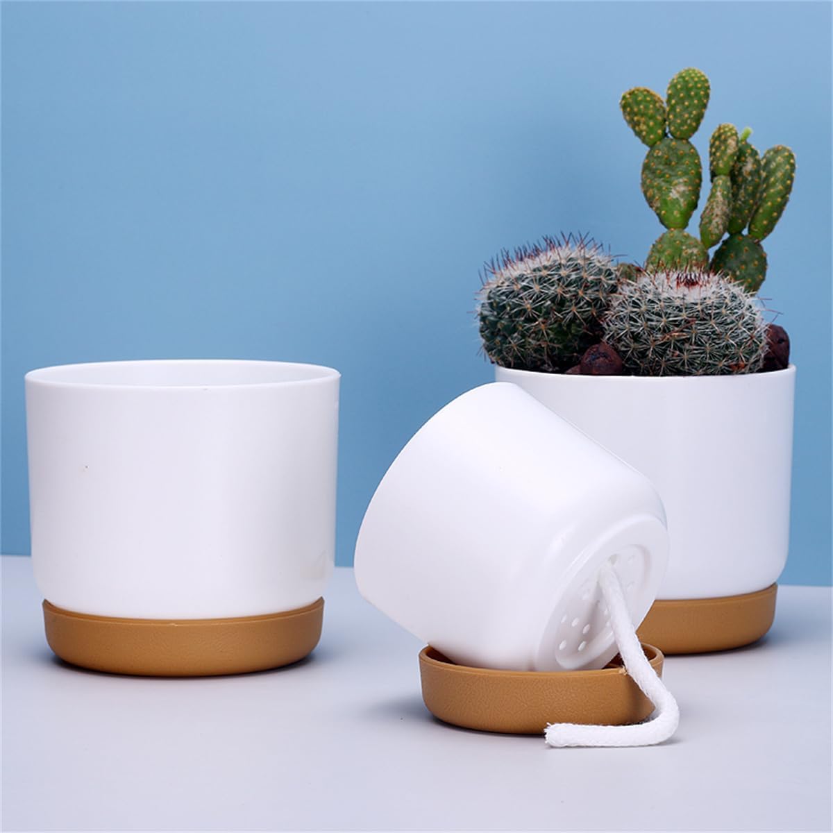 Self - Watering Flower Pot for Orchids and Plants - Plastic Planter