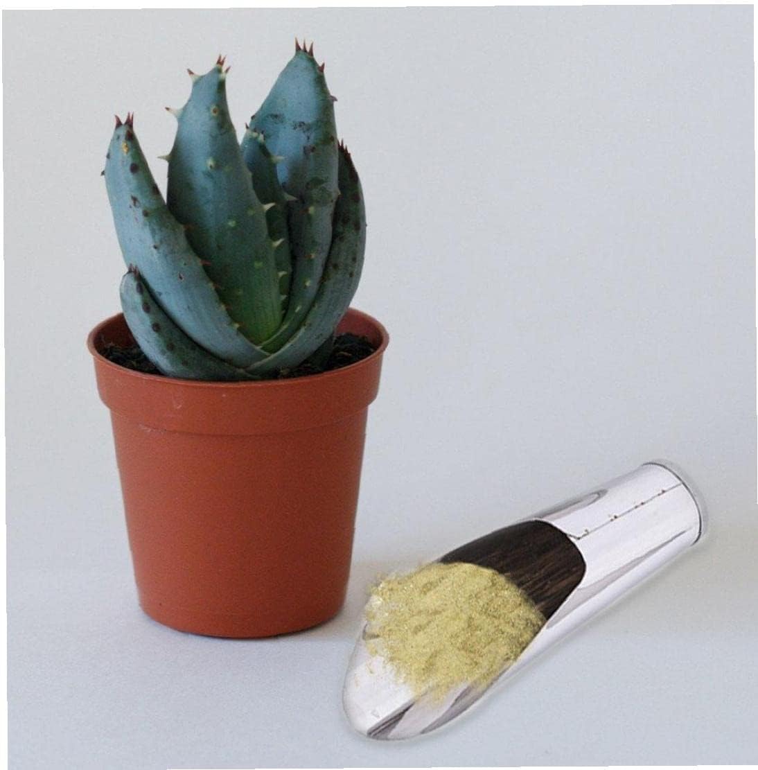 Stainless Steel Shovel for Potting Soil - Robust Planting Shovel for Garden and Balcony