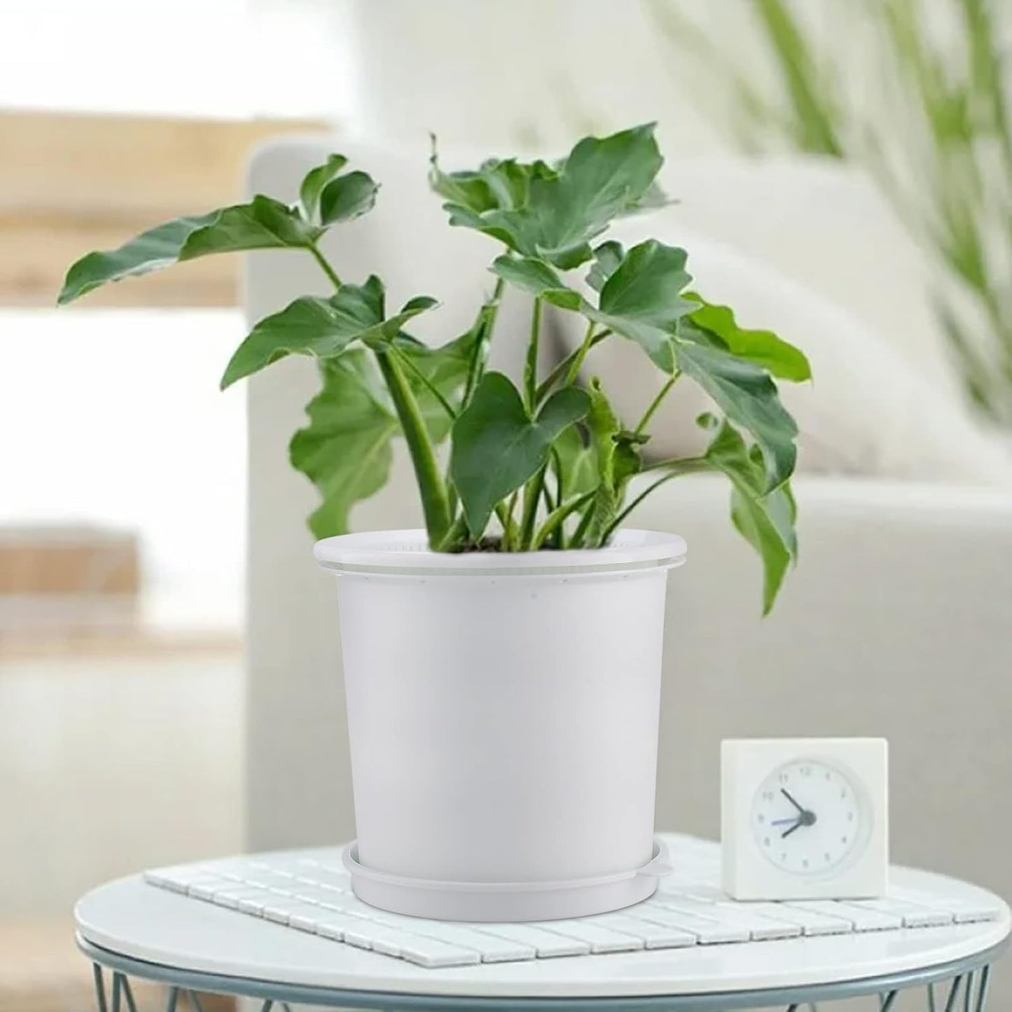 Breathable Root Control Pot for Plants - Ideal for Healthy Growth and Optimum Ventilation