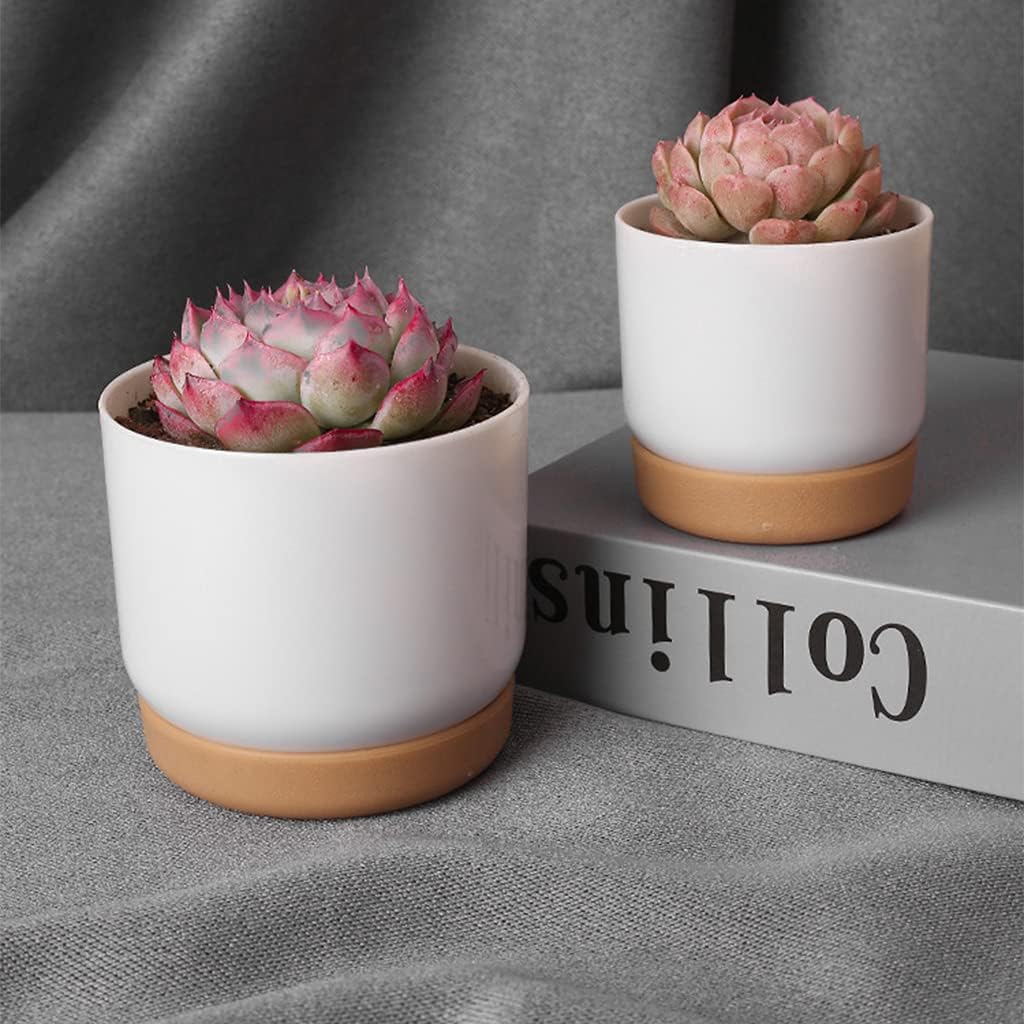Self - Watering Flower Pot for Orchids and Plants - Plastic Planter