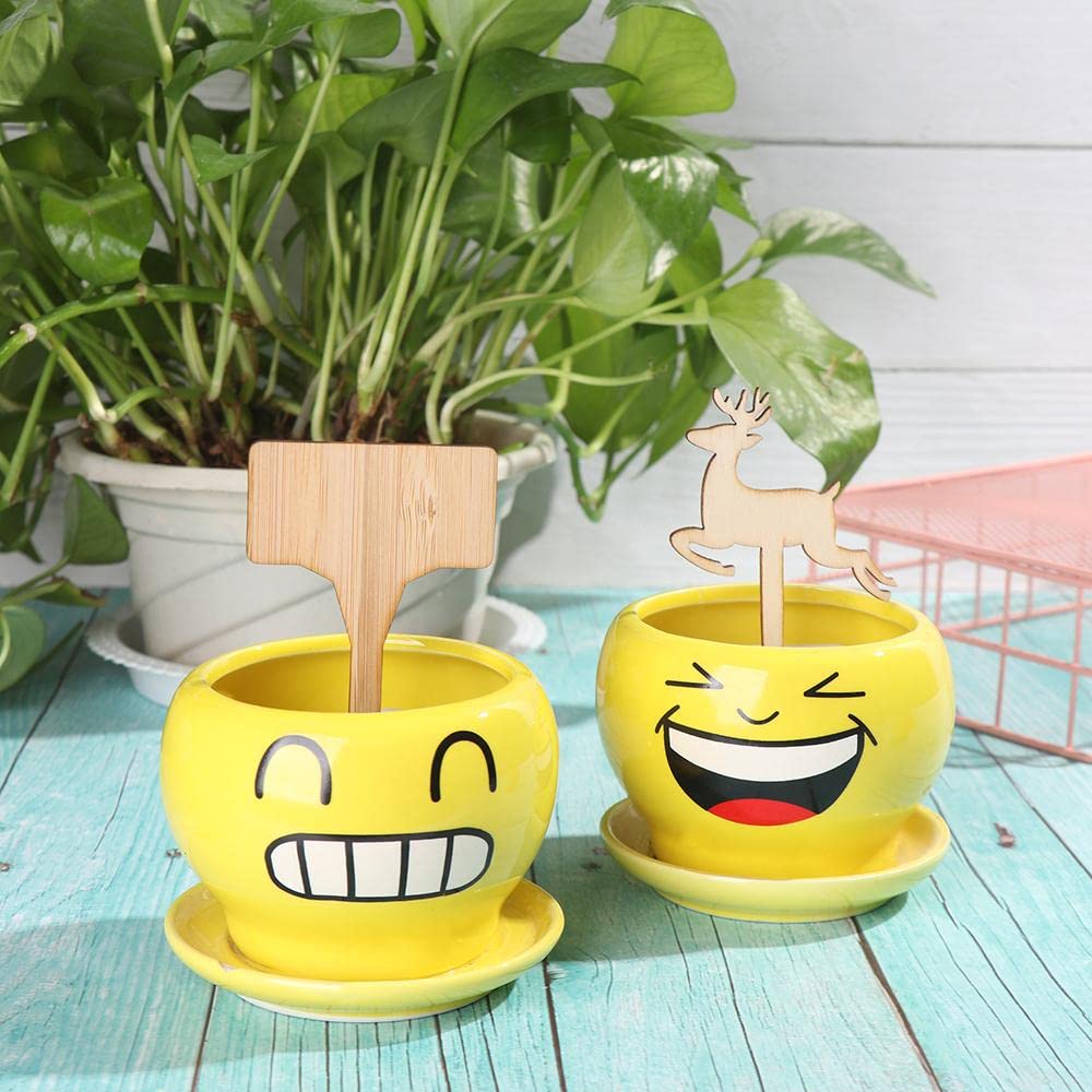 Wooden Plant Labels for Garden and Balcony - Rewritable Labels for Herbs and Plants