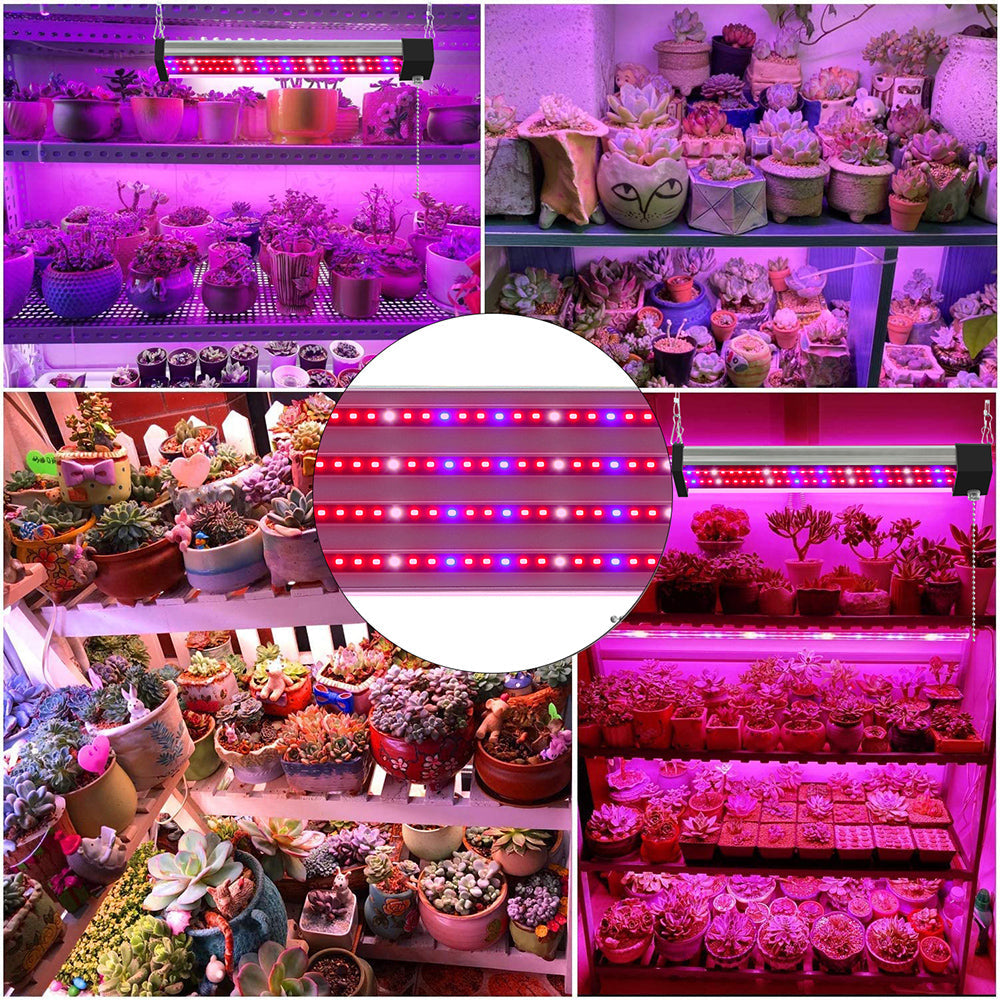 Led Plant Lamp With Full Spectrum Lighting And Pull Switch For Optimum Plant Growth