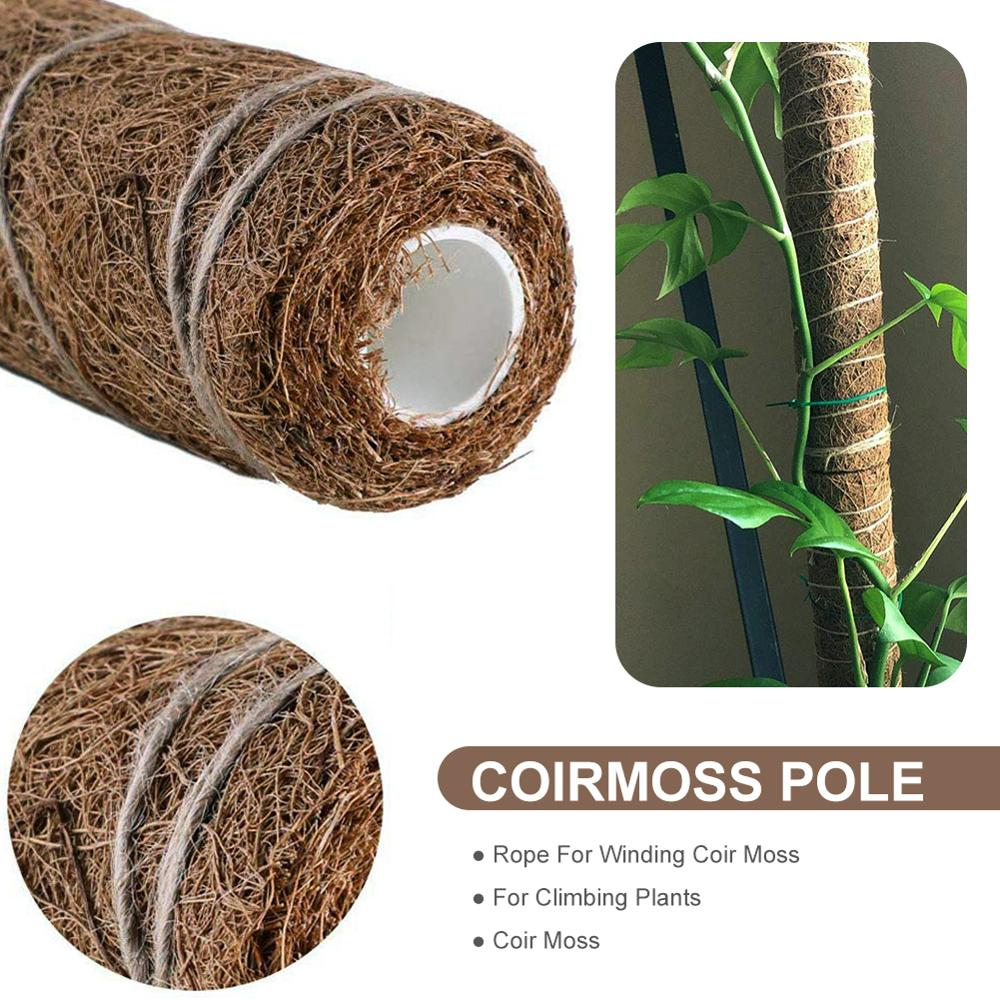 Coconut Moss Stick for Climbing Plants - Natural Climbing Aid for Houseplants and Garden