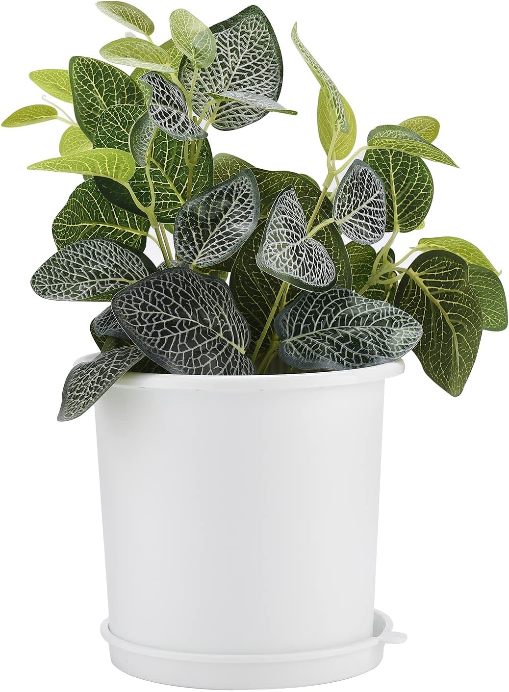 Breathable Root Control Pot for Plants - Ideal for Healthy Growth and Optimum Ventilation