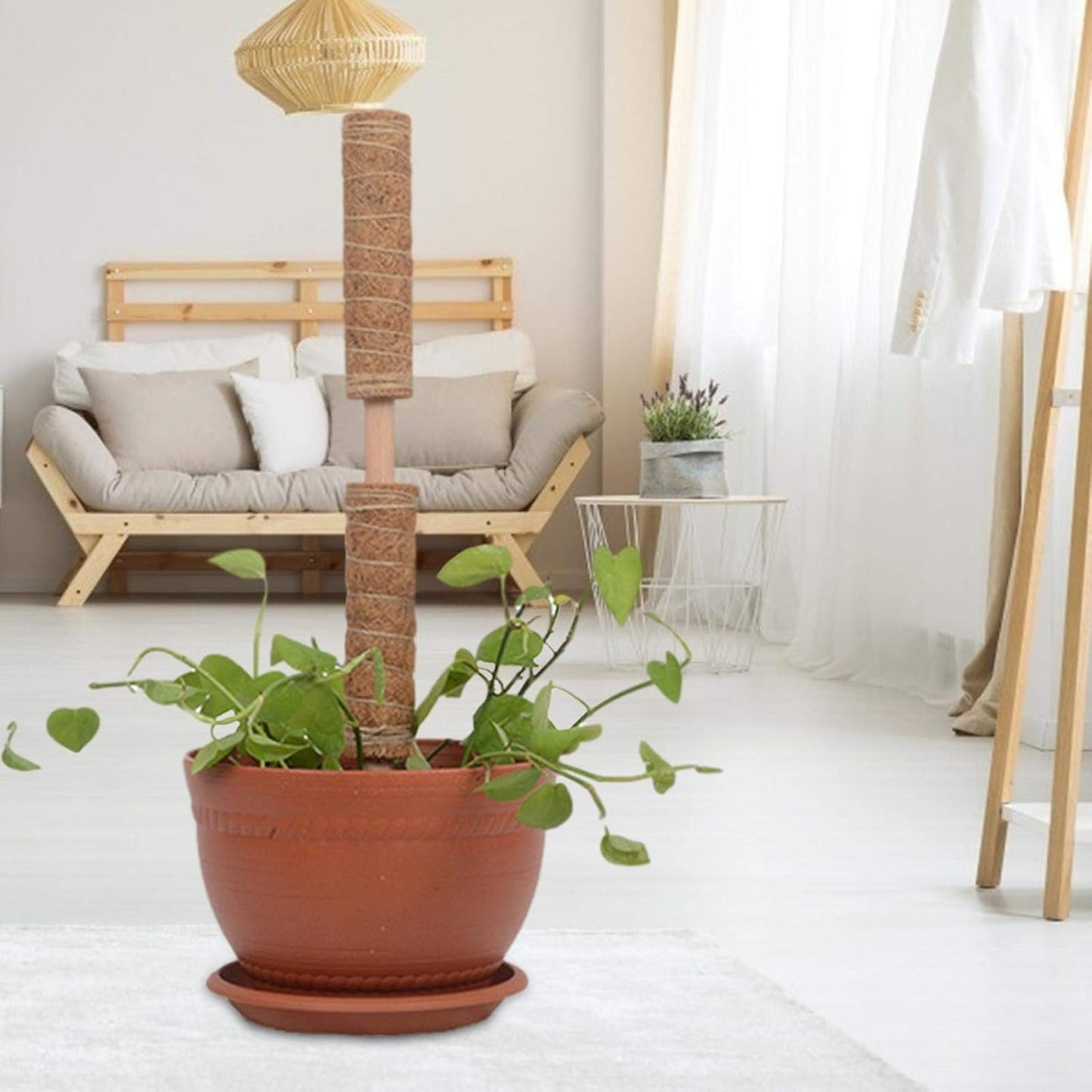 Coconut Moss Stick for Climbing Plants - Natural Climbing Aid for Houseplants and Garden