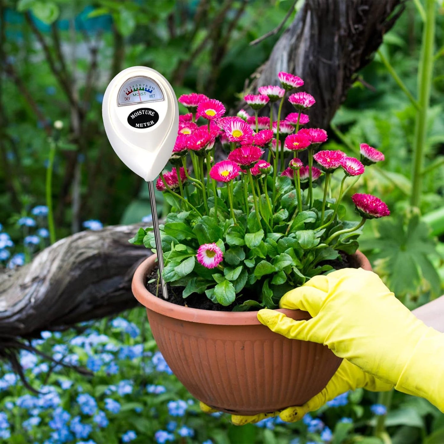 Soil Moisture Meter for Precise Moisture Measurement in Soil - Ideal for Plant Care