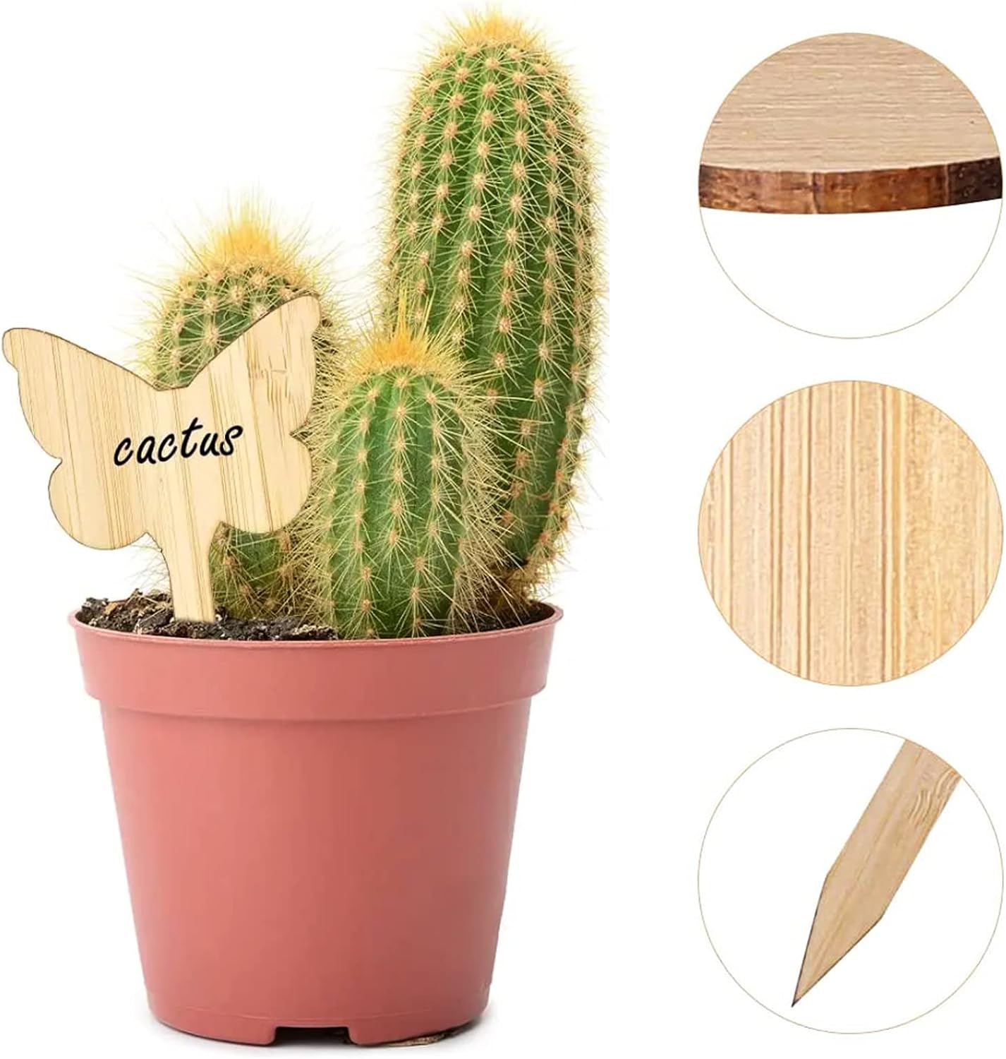 Wooden Plant Labels for Garden and Balcony - Rewritable Labels for Herbs and Plants