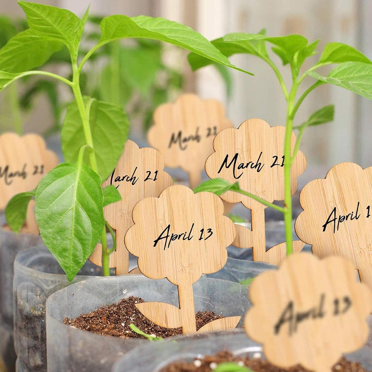 Wooden Plant Labels for Garden and Balcony - Rewritable Labels for Herbs and Plants
