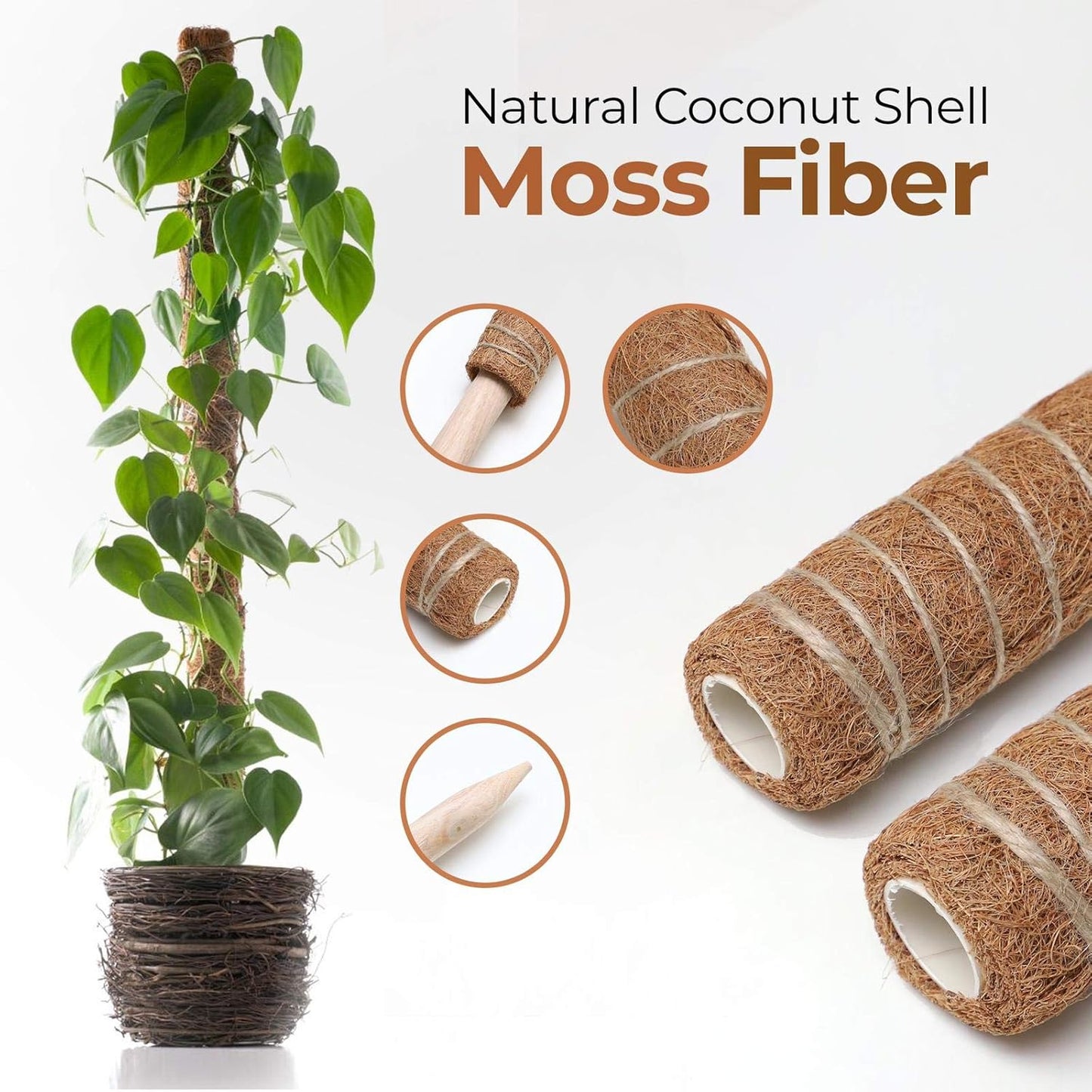 Coconut Moss Stick for Climbing Plants - Natural Climbing Aid for Houseplants and Garden