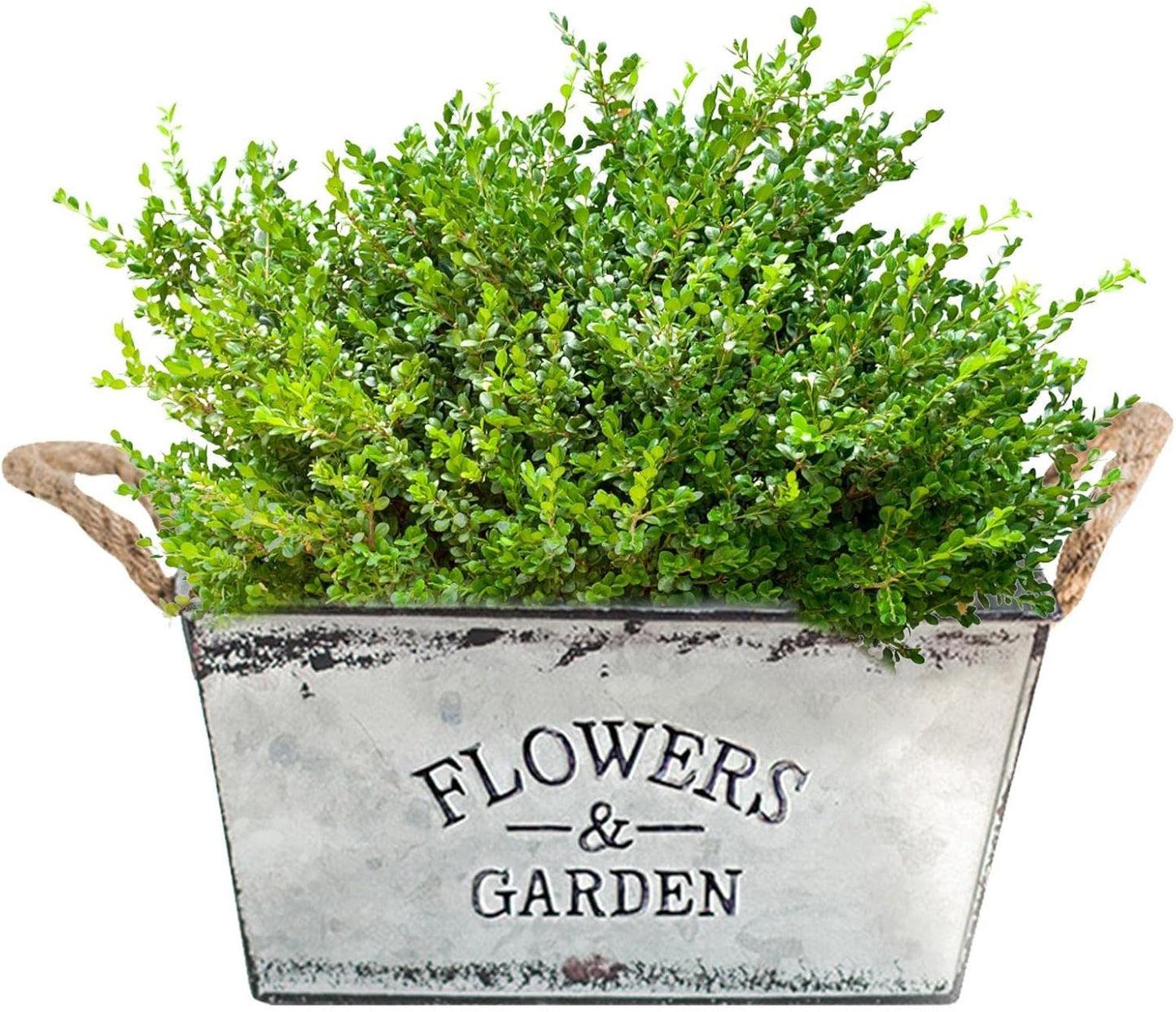 Decorative Metal Flower and Garden Container with Hemp Rope Handles