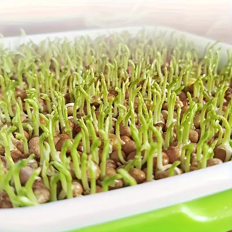 Germination Trays with Lid - Double - Layer Seed Tray for Effective Seed Germination