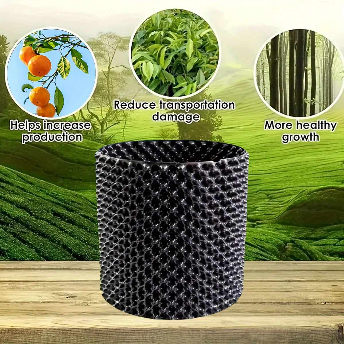 Root Control Device for Plants and Landscaping to Promote Healthy Growth
