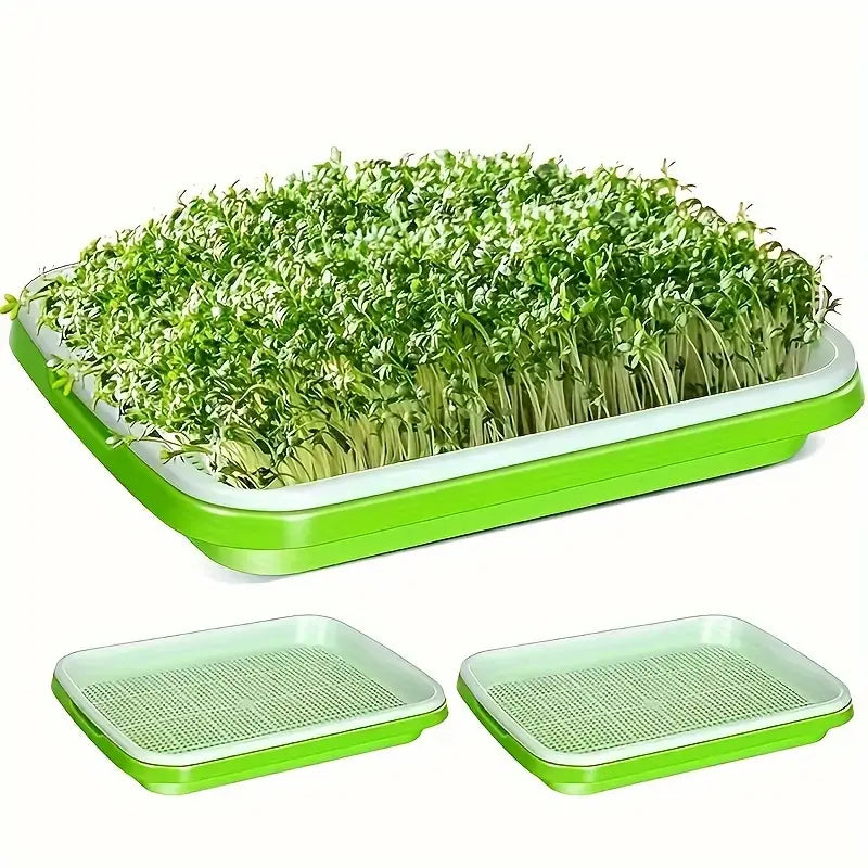Germination Trays with Lid - Double - Layer Seed Tray for Effective Seed Germination