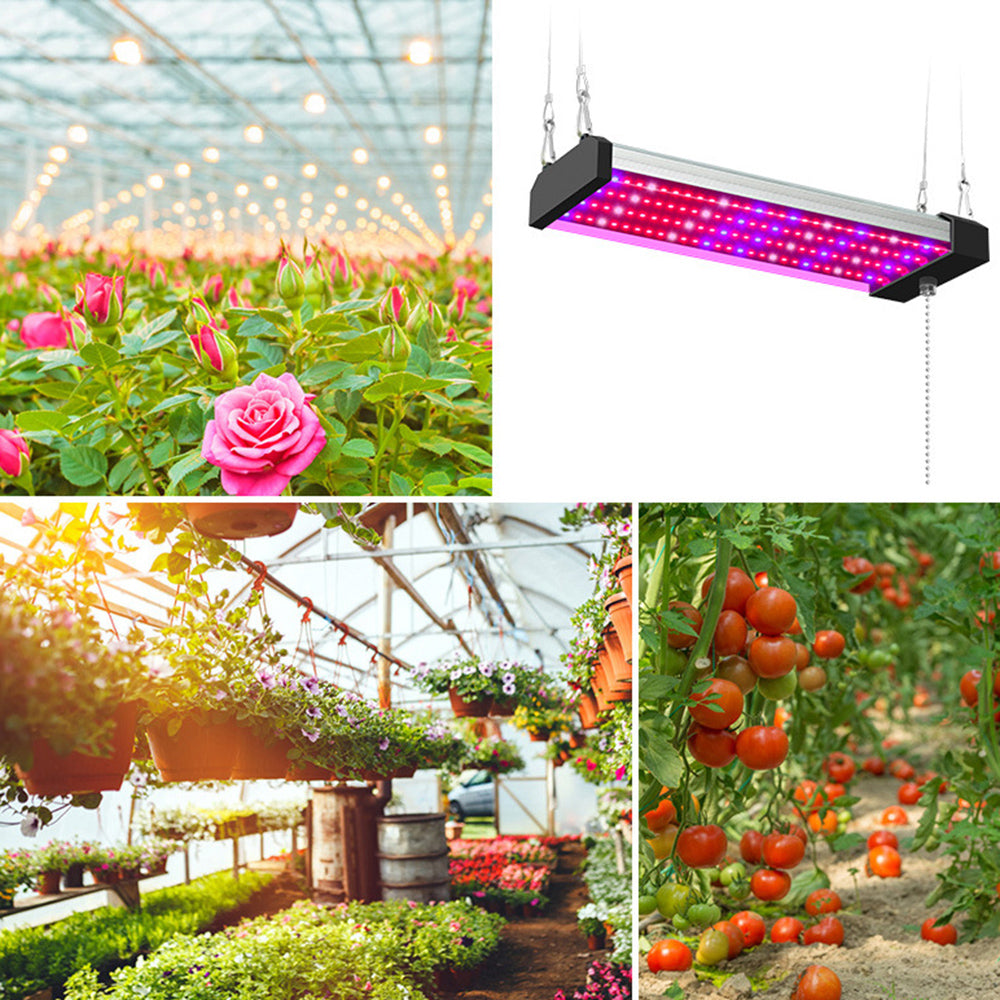 Led Plant Lamp With Full Spectrum Lighting And Pull Switch For Optimum Plant Growth