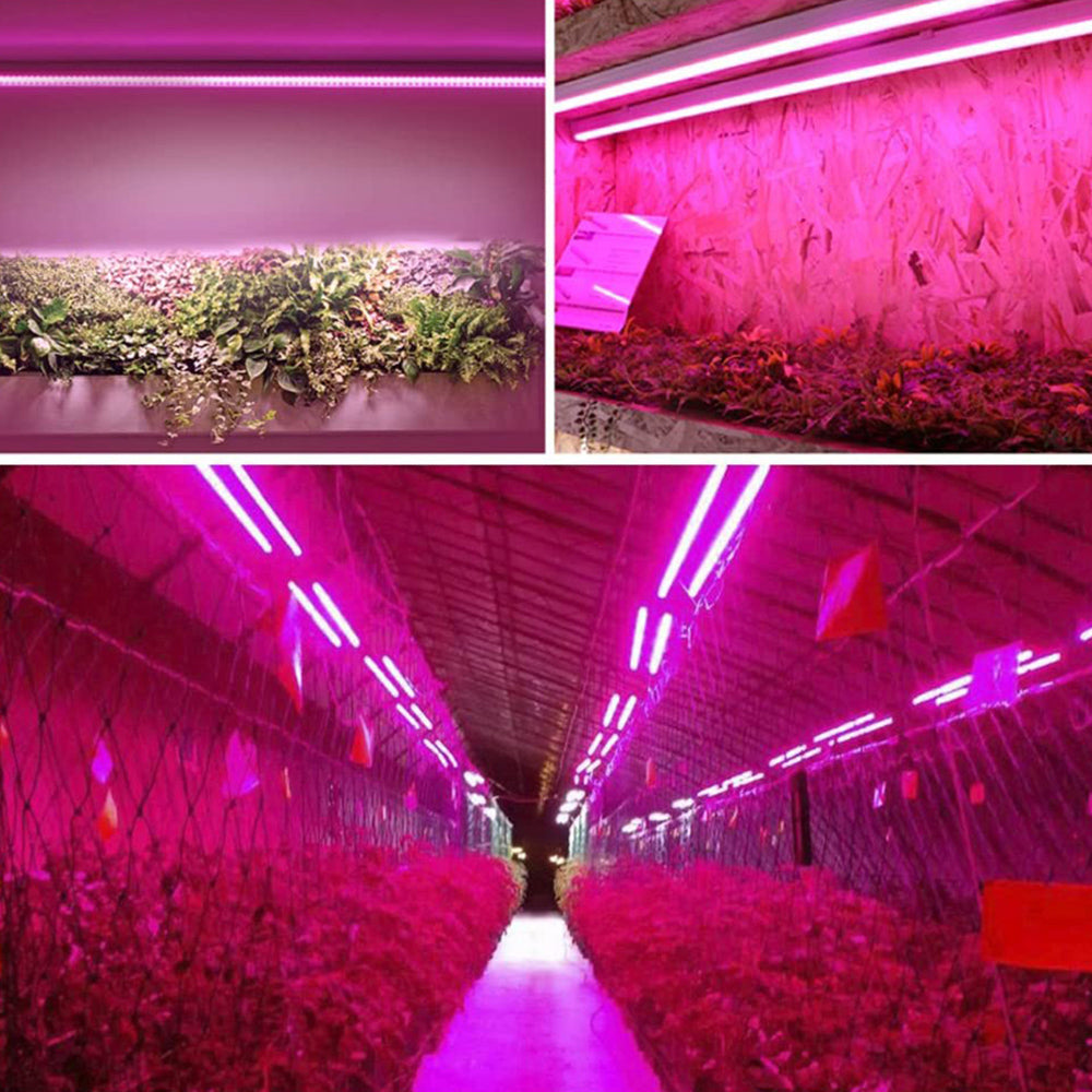 Led Plant Lamp With Full Spectrum Lighting And Pull Switch For Optimum Plant Growth
