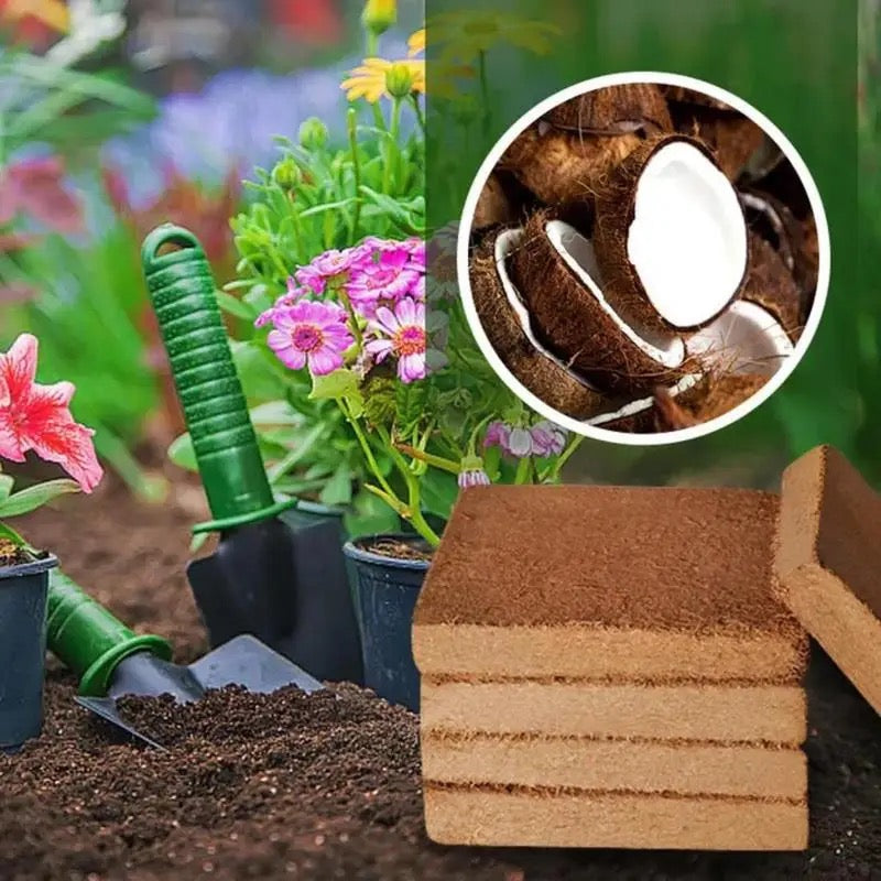 Fertilized Coconut Soil