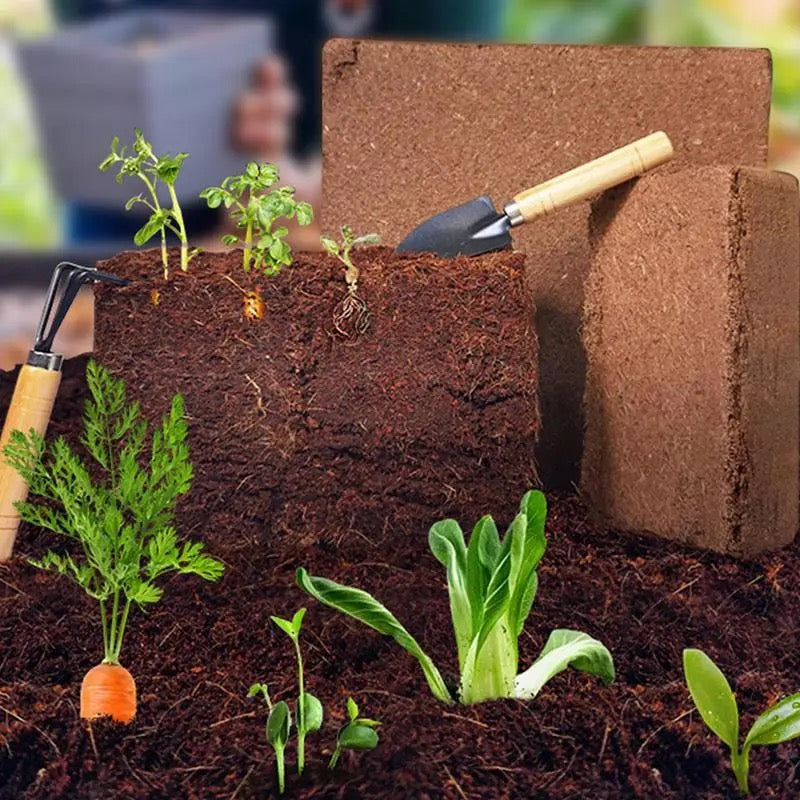 Fertilized Coconut Soil