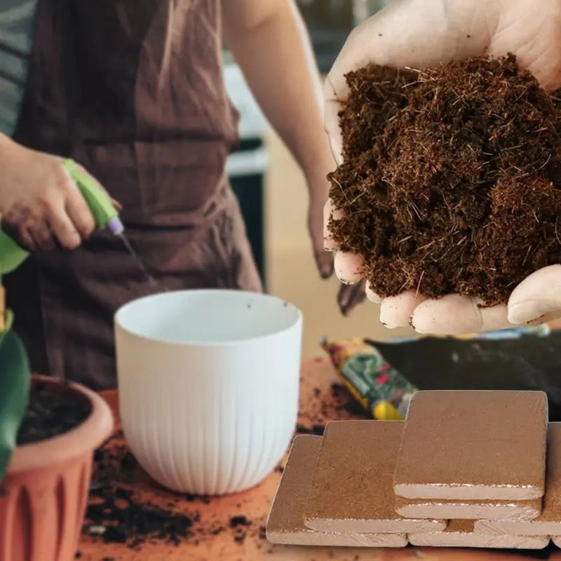 Fertilized Coconut Soil