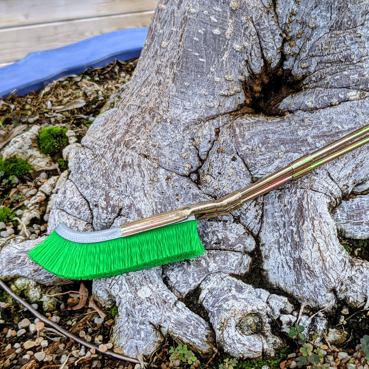 Nylon Brush for Bonsai Trunk Area Cleaning - Garden Care Tool