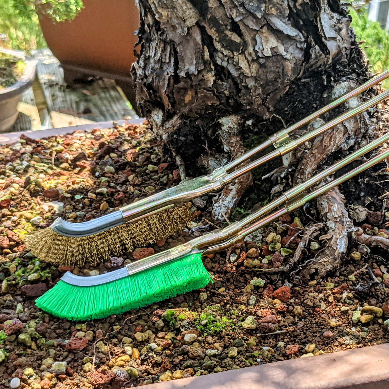 Nylon Brush for Bonsai Trunk Area Cleaning - Garden Care Tool