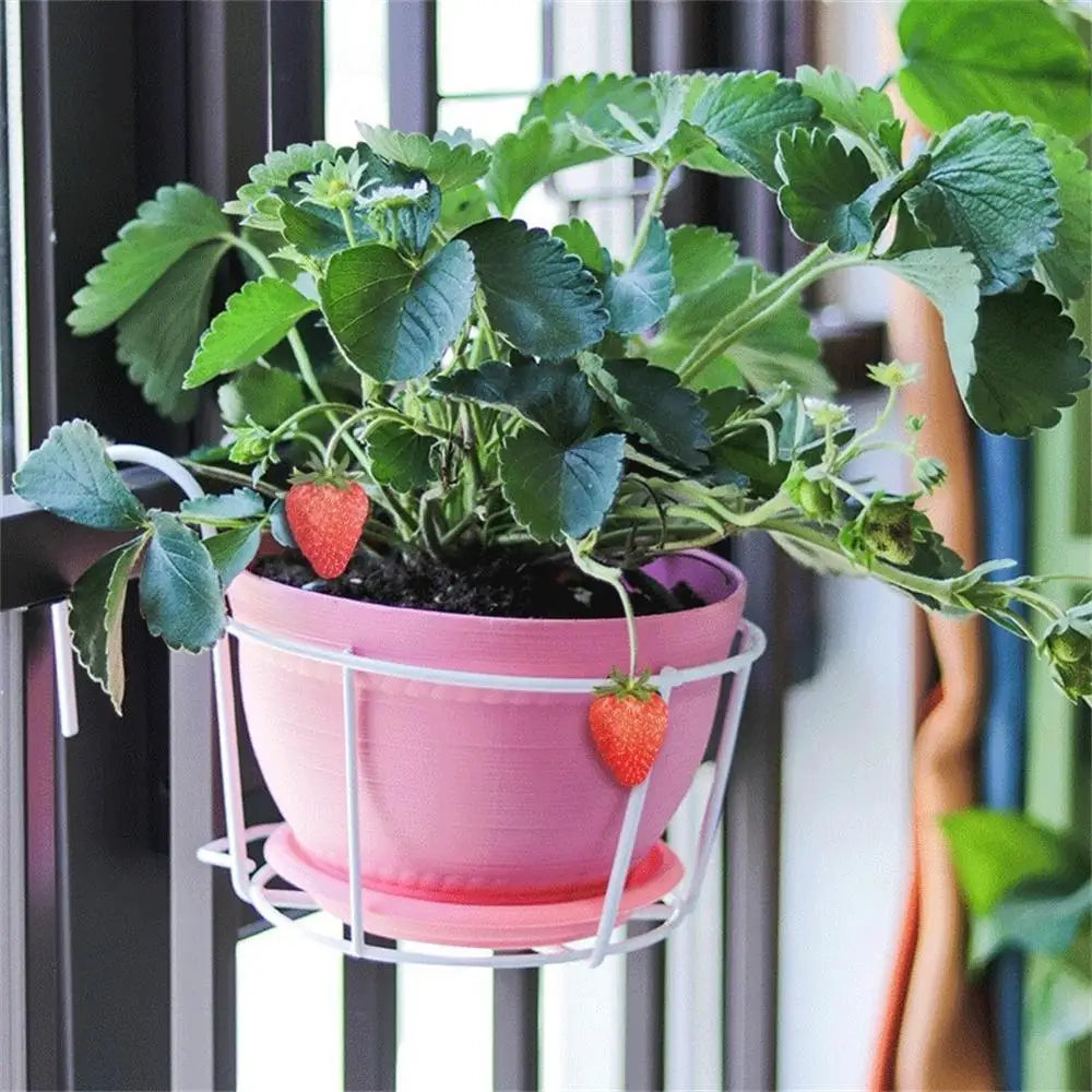 Practical Planter Holder with Sturdy Metal Frame for Balconies and Patios