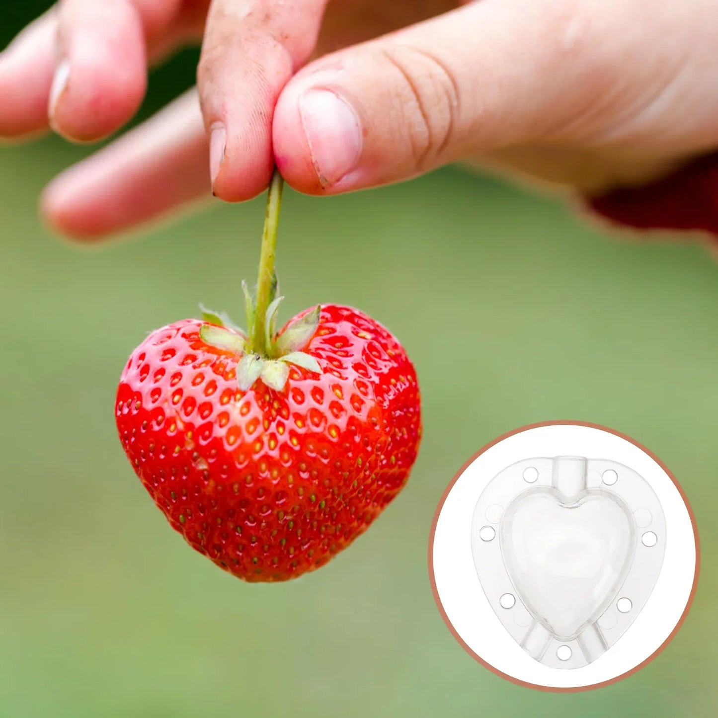 Heart - Shaped Vegetable Mould - Creative Moulded Bowl for Vegetables and Fruit