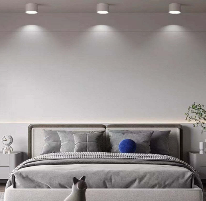 Morandi-inspired Modern LED Ceiling Lamp