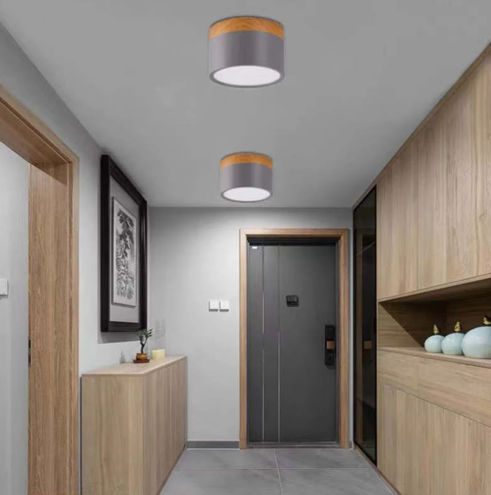 Morandi-inspired Modern LED Ceiling Lamp