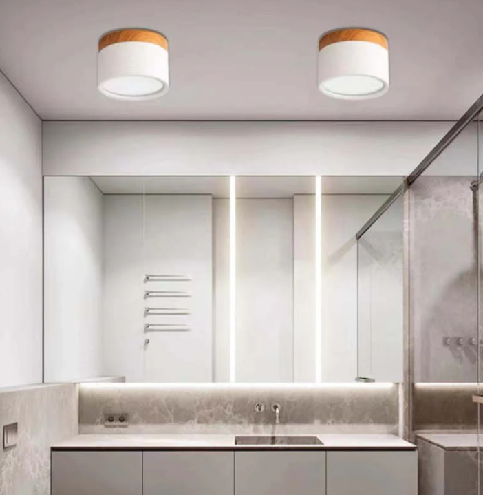 Morandi-inspired Modern LED Ceiling Lamp