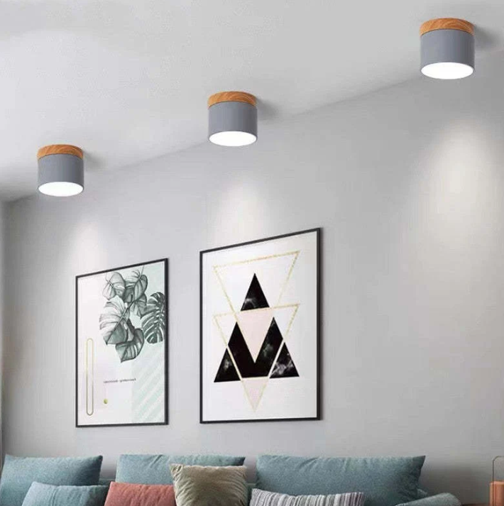 Morandi-inspired Modern LED Ceiling Lamp