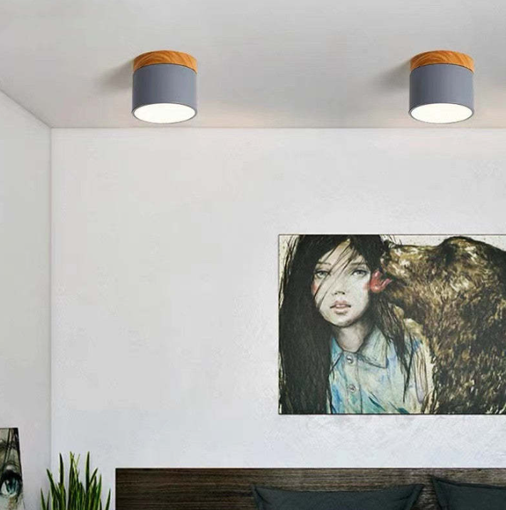 Morandi-inspired Modern LED Ceiling Lamp