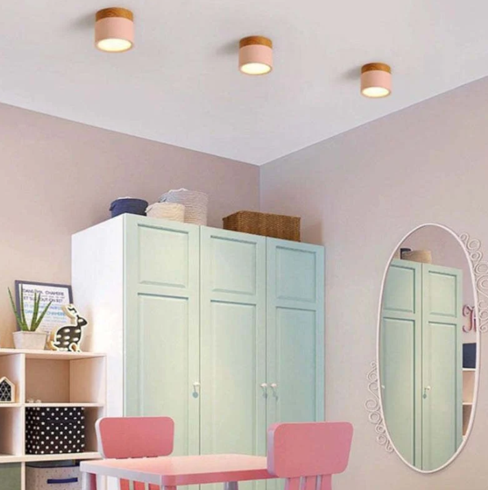 Morandi-inspired Modern LED Ceiling Lamp