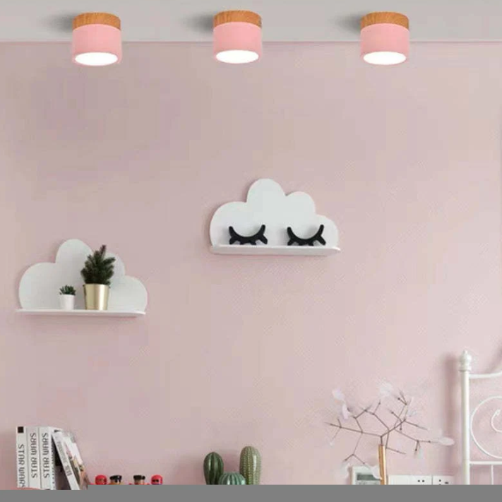 Morandi-inspired Modern LED Ceiling Lamp
