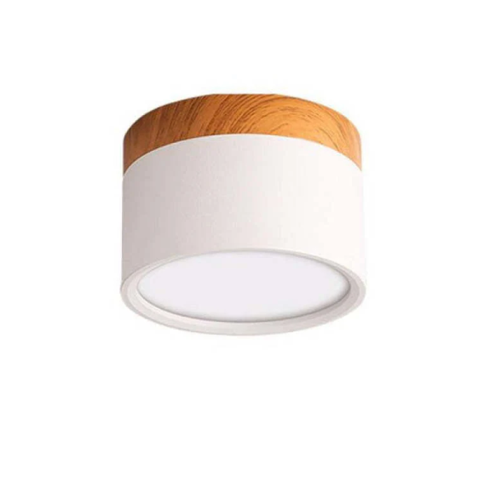 Morandi-inspired Modern LED Ceiling Lamp