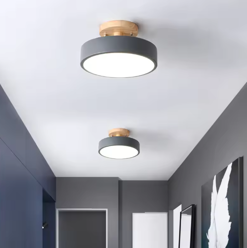 Nordic LED Ceiling Lamp