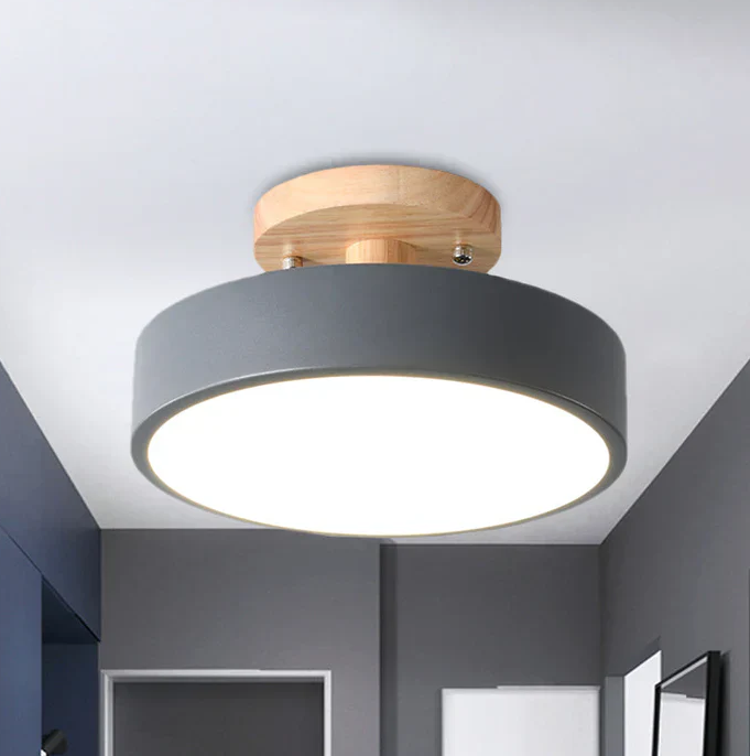 Nordic LED Ceiling Lamp