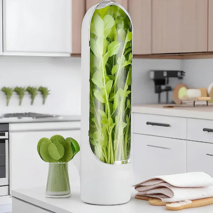 Airtight Herb Container For Longer Freshness And Space - Saving Storage