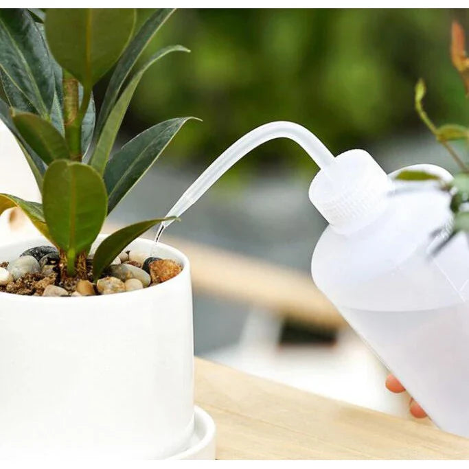 Combination Set for Succulent Planting Tools - Practical Set for Care and Planting